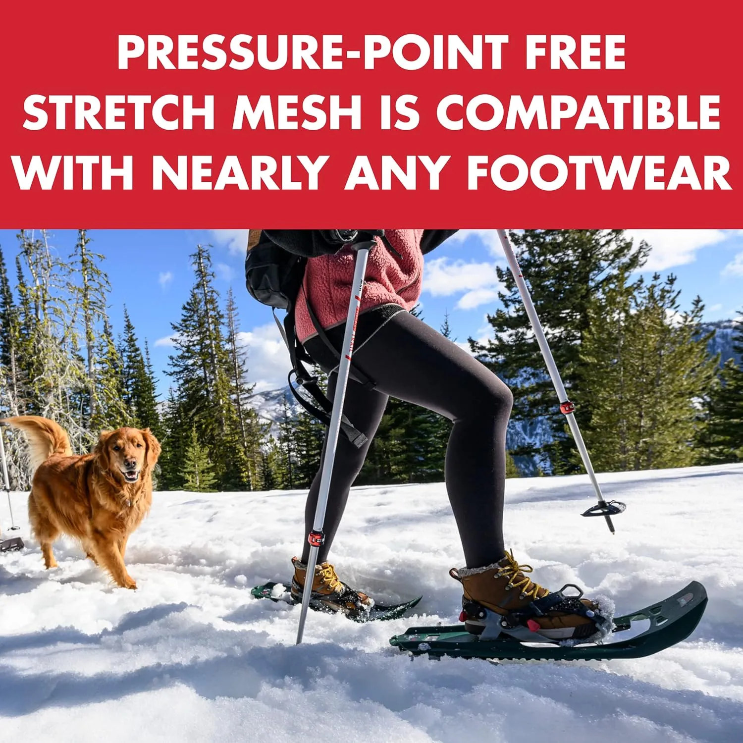 MSR Evo Trail Backcountry and Trekking Snowshoes
